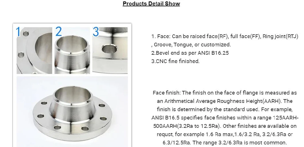 Stainless Steel Forged Carbon Steel BS4504 RF ANSI Ss 304 304L 316 316L Blind Flange